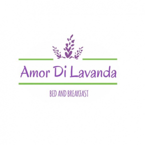 Amor di Lavanda